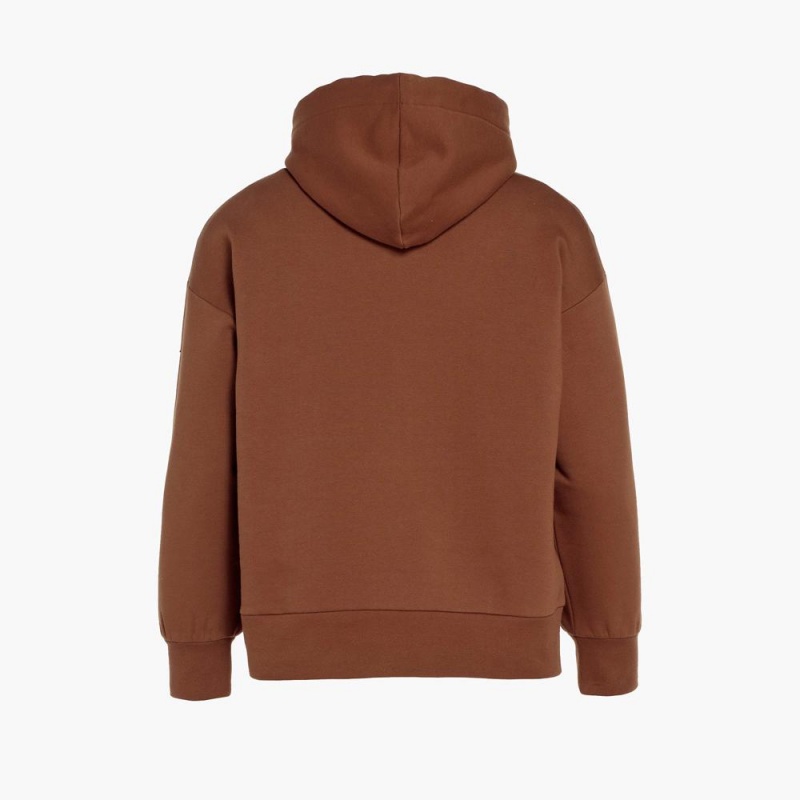 Sudadera con Capucha Goldbergh HARVARD hooded sweater Beige | ENRCSD-978